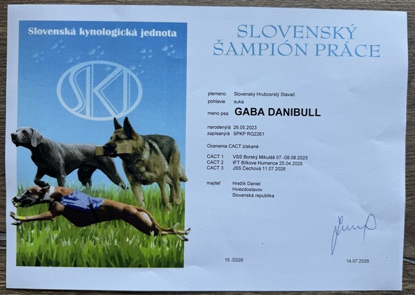 šampión-práce-shs